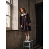 Hadas Lace Collar Dress