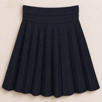 Pleated Knit Skirt