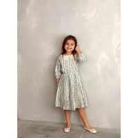 Pleated Collar Dress