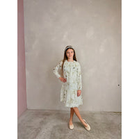 Chiffon Dress