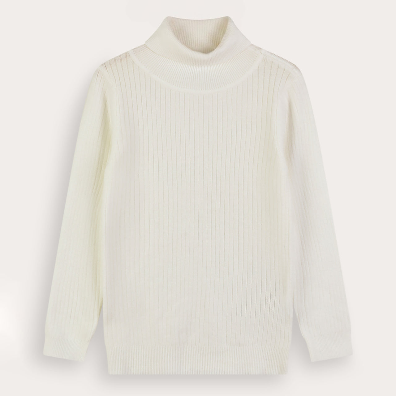 Knit Turtleneck