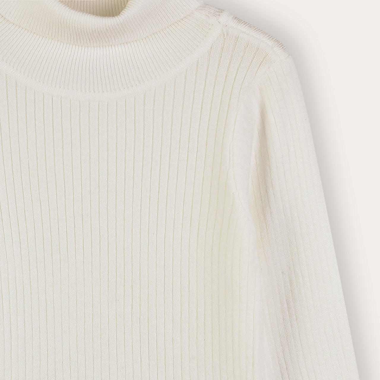 Knit Turtleneck