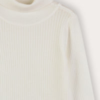 Knit Turtleneck