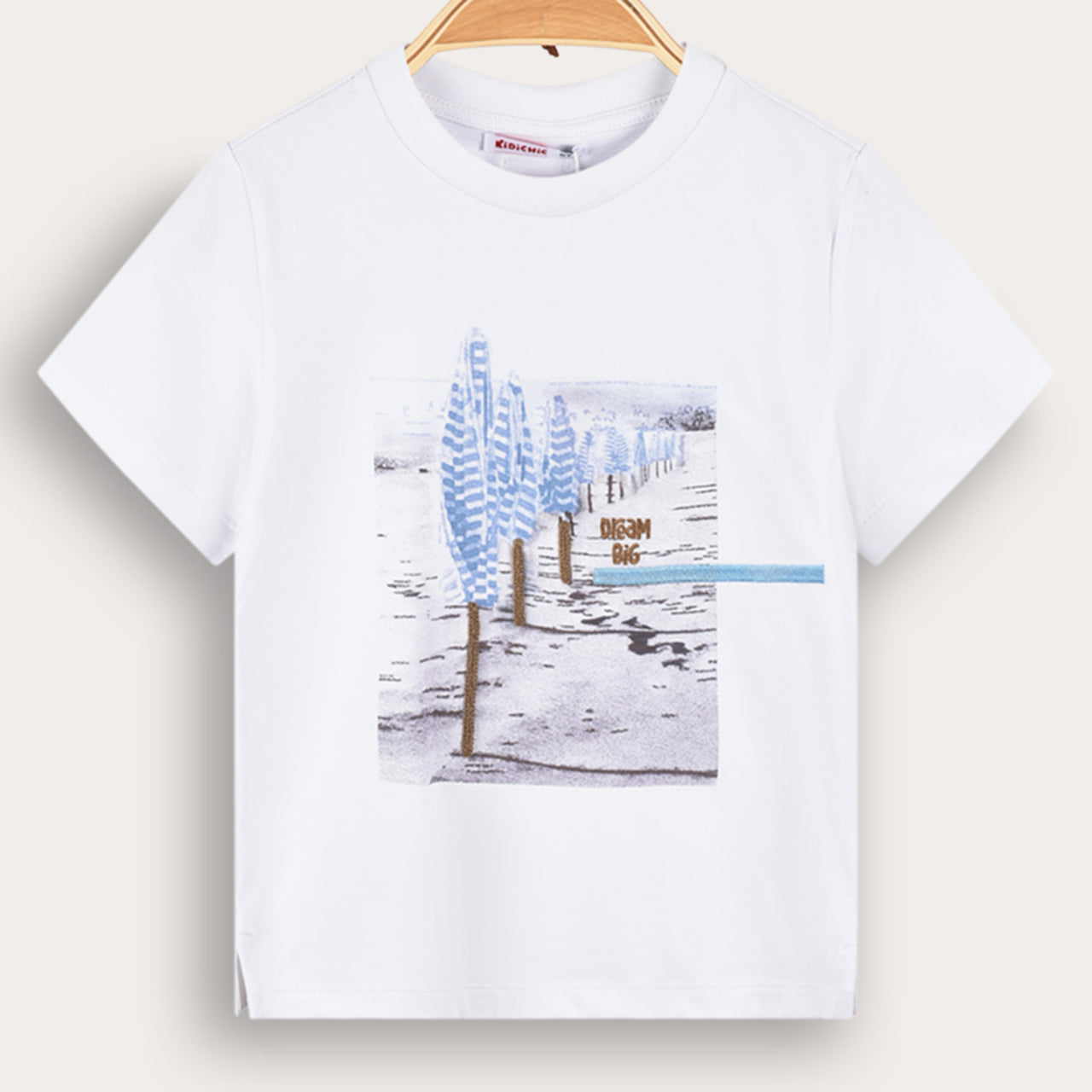 Boys S.S Artwork Tshirt