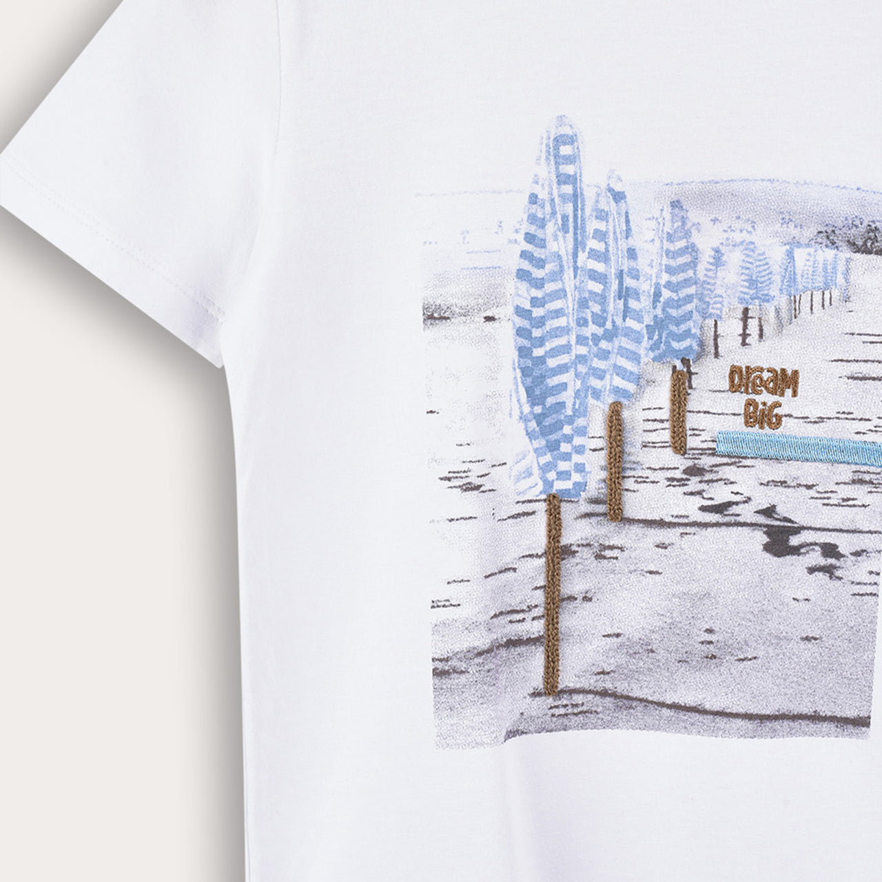 Boys S.S Artwork Tshirt