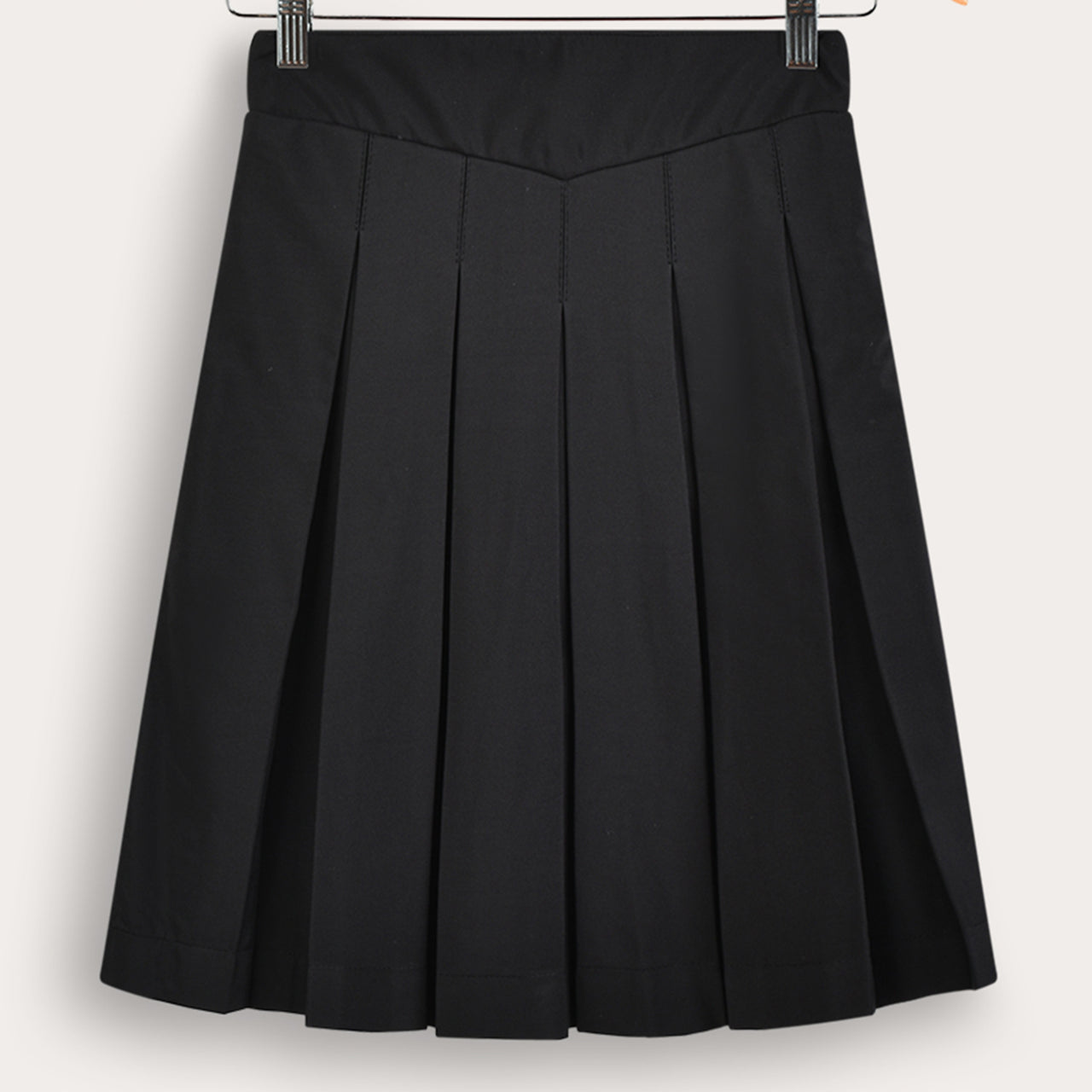 Pleated Skirt
