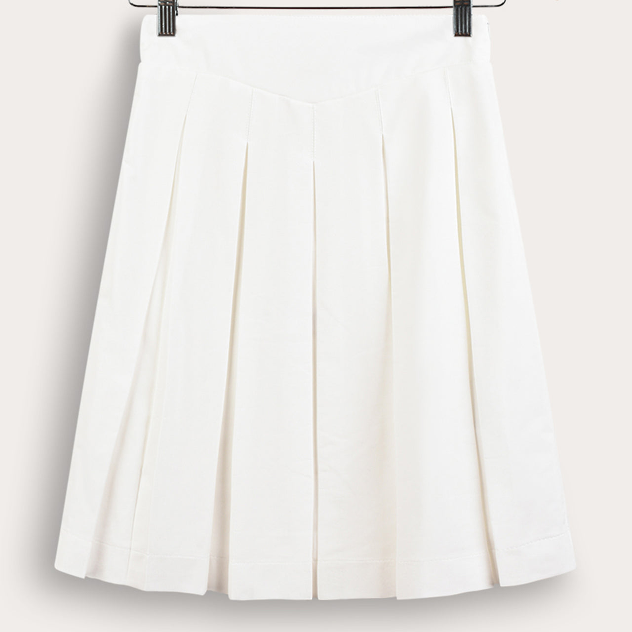 Pleated Skirt