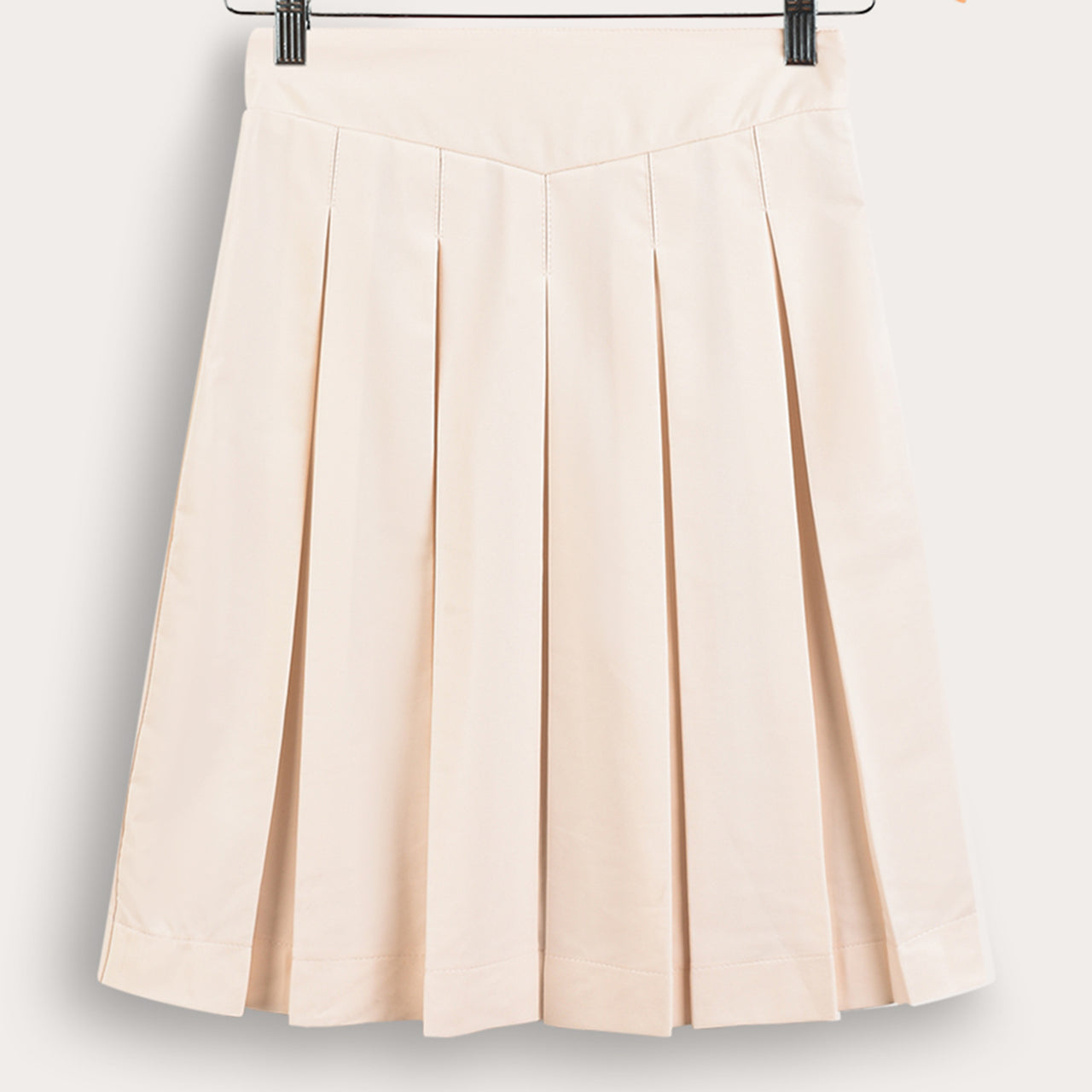 Pleated Skirt