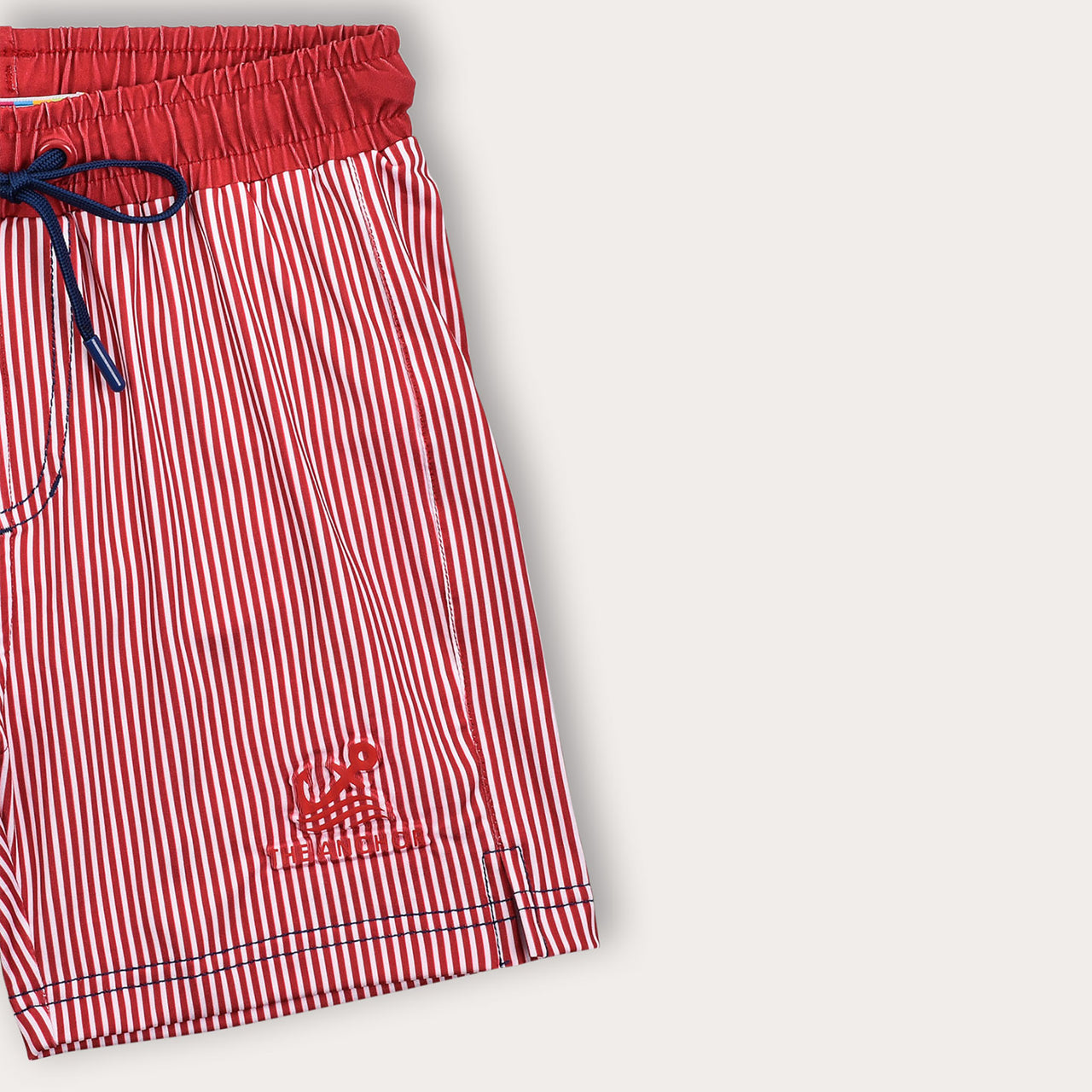 Swimsuit Shorts