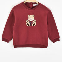 Teddy Bear Shirt