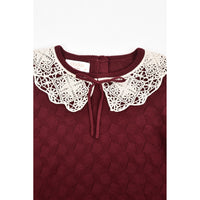 Hadas Lace Collar Knit Sweater