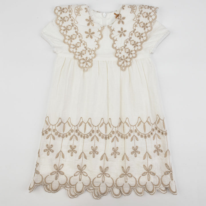 Daisy Embroidered Collar Dress - Kidichic
